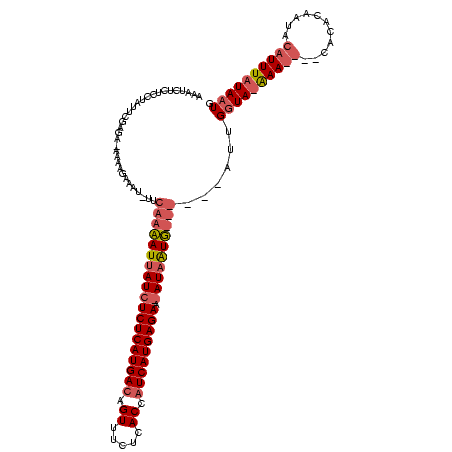 secondary structure