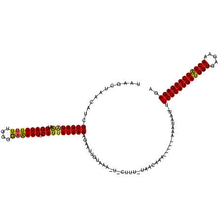 secondary structure