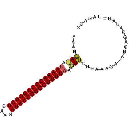 secondary structure