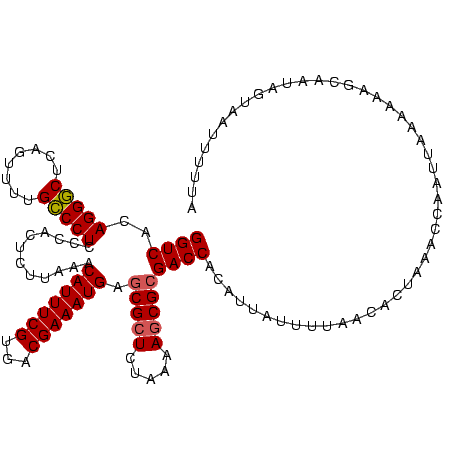 secondary structure