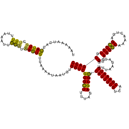 secondary structure