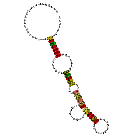 secondary structure