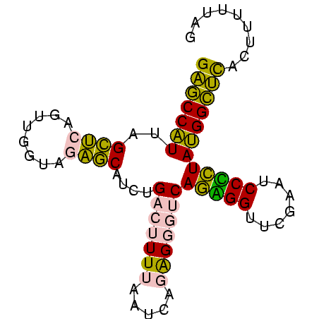 secondary structure