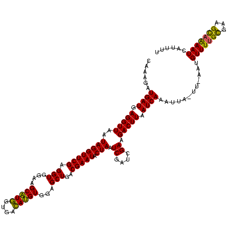 secondary structure