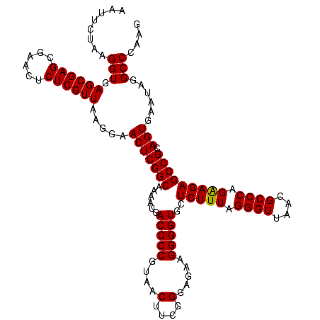 secondary structure