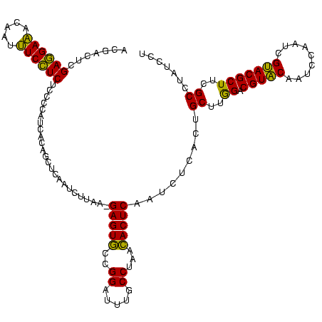 secondary structure