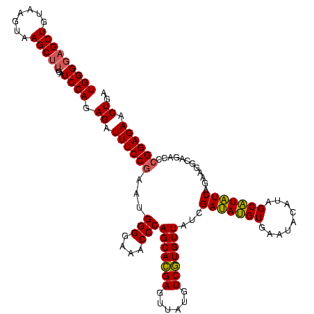 secondary structure