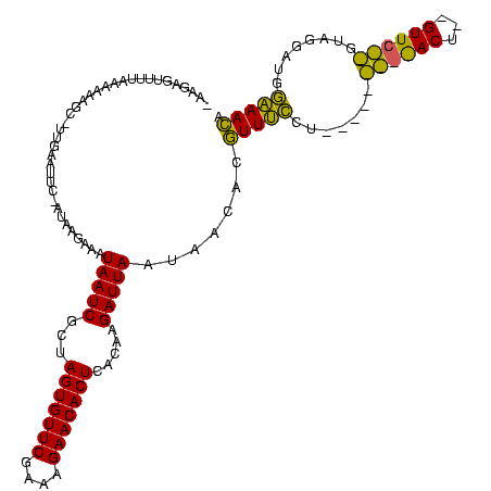 secondary structure