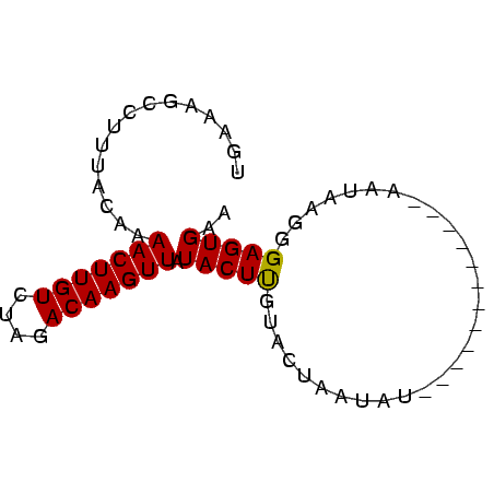 secondary structure