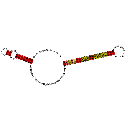 secondary structure