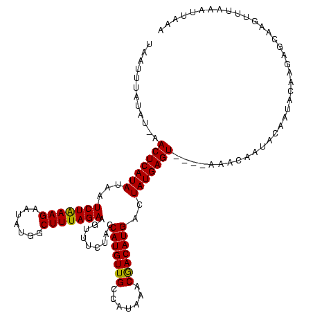 secondary structure