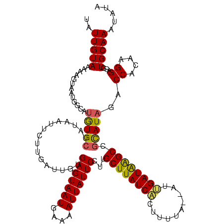 secondary structure