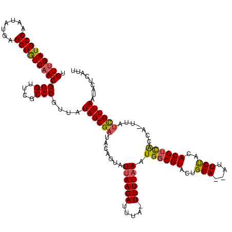 secondary structure