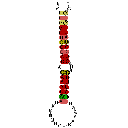 secondary structure