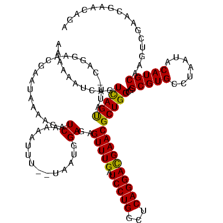 secondary structure
