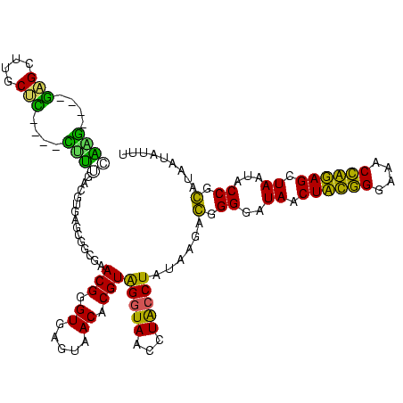 secondary structure