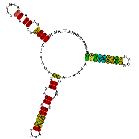 secondary structure