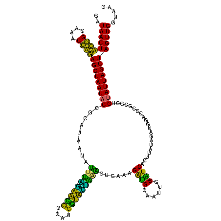 secondary structure