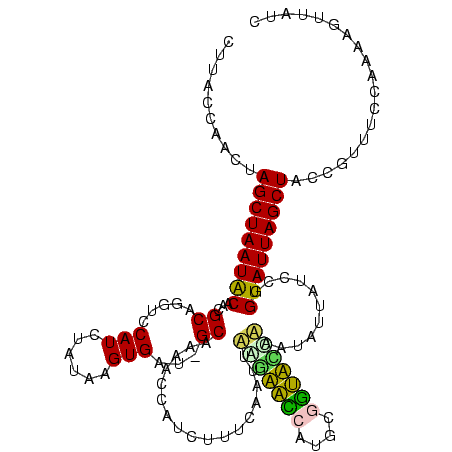 secondary structure