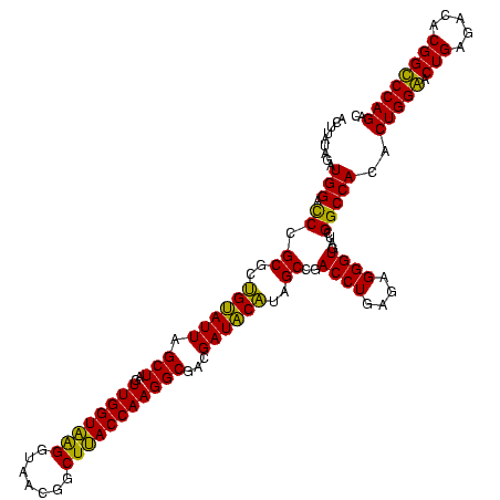 secondary structure