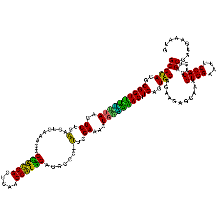 secondary structure