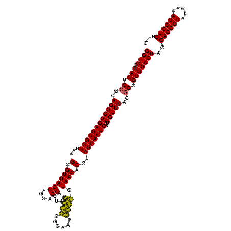 secondary structure