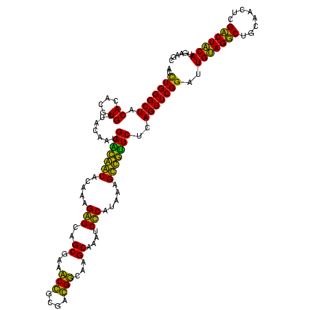 secondary structure