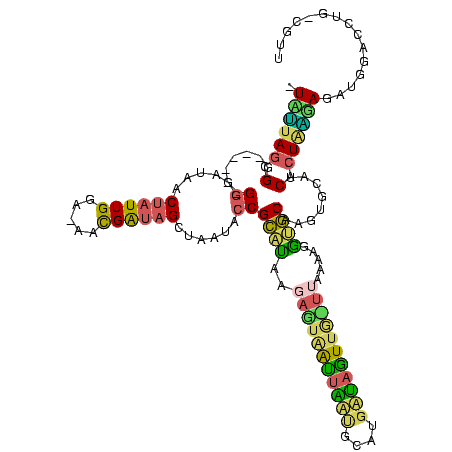 secondary structure