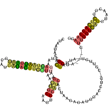 secondary structure
