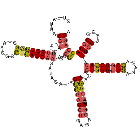secondary structure