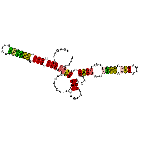 secondary structure