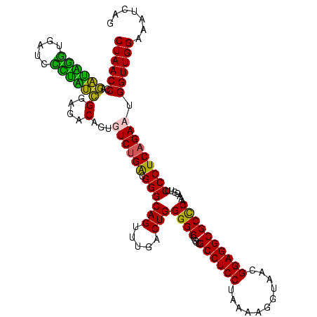 secondary structure