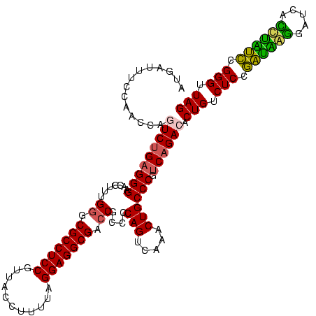 secondary structure