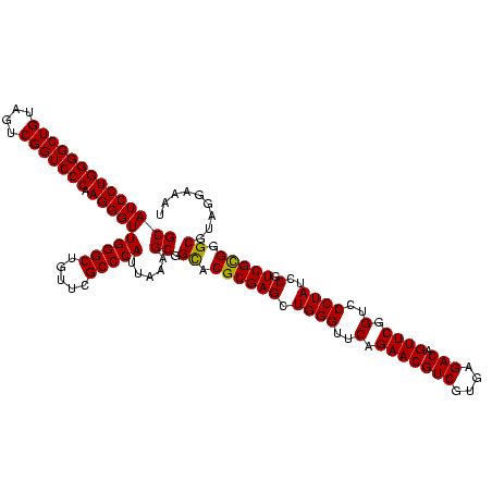secondary structure