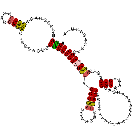secondary structure