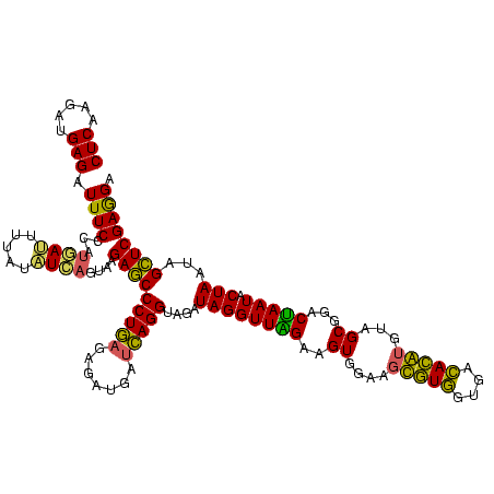 secondary structure