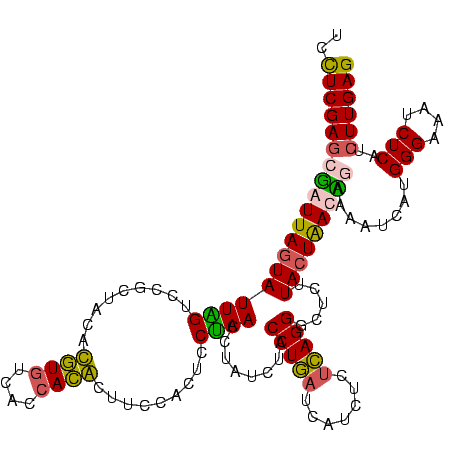secondary structure