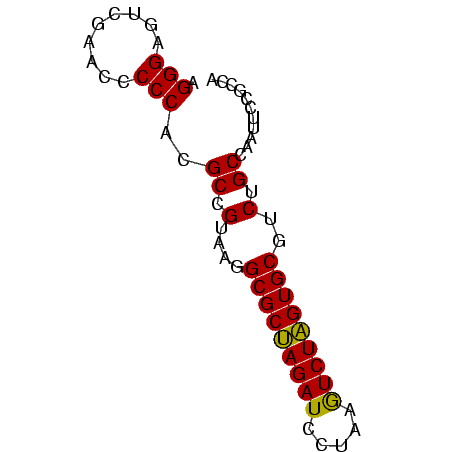secondary structure