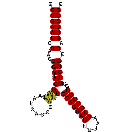 secondary structure