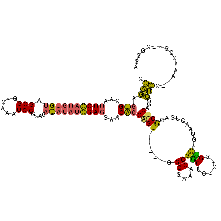 secondary structure