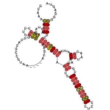 secondary structure