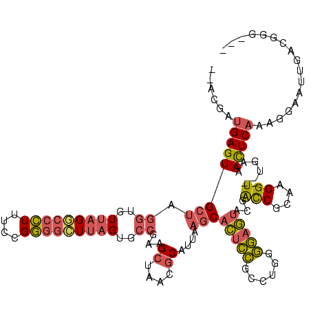 secondary structure