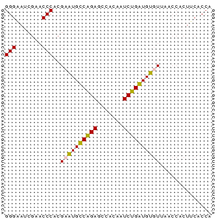 dotplot