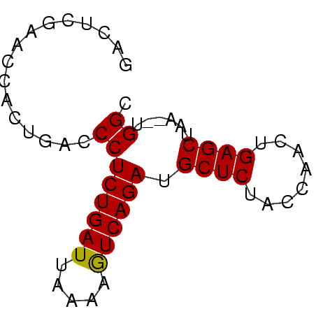 secondary structure