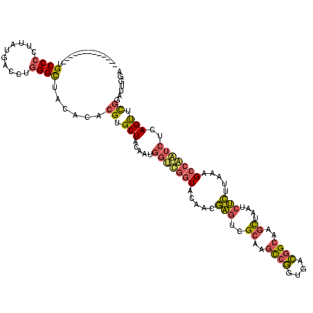 secondary structure