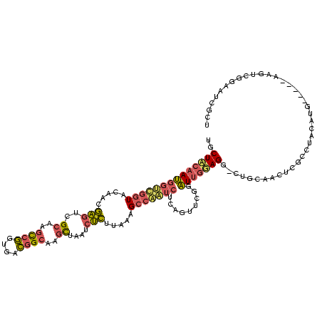 secondary structure