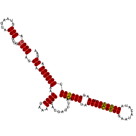 secondary structure