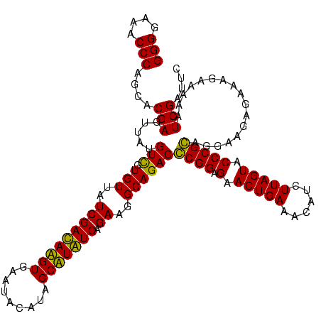secondary structure