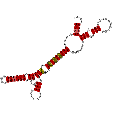 secondary structure