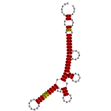 secondary structure